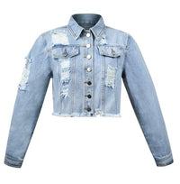 Cropped denim jacket