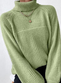 Knit turtleneck sweater