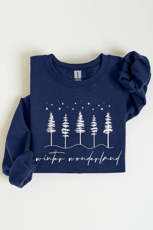 Winter Wonderland Graphic Fleece Sweatshirts