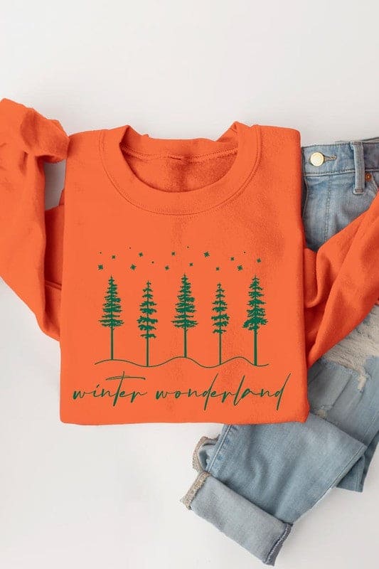 Winter Wonderland Graphic Fleece Sweatshirts