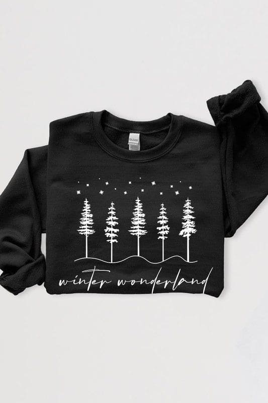 Winter Wonderland Graphic Fleece Sweatshirts